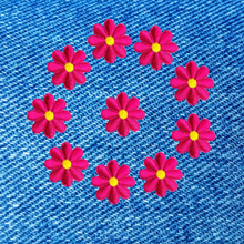 Load image into Gallery viewer, Daisies