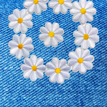 Load image into Gallery viewer, Daisies